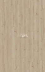 Kronotex Exquisit 8мм d80922 Дуб Бельведер фото 3 | FLOORDEALER